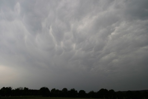 Eifelmammatus0507 021a.jpg